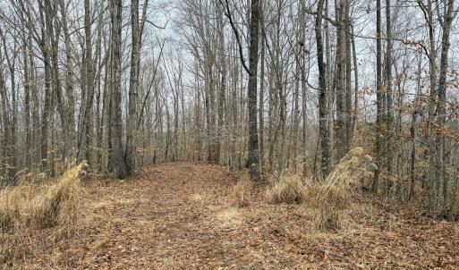 Photo #9 of Off Water Oak Road , Callands, VA 7.9 acres