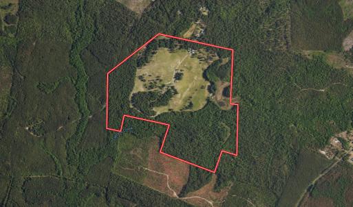 Photo #1 of 330 Ellis Stewart Ln, Cameron, NC 193.0 acres