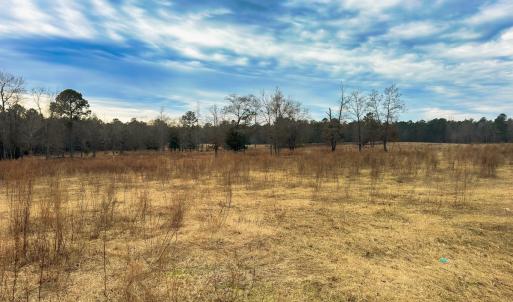 Photo #30 of 330 Ellis Stewart Ln, Cameron, NC 193.0 acres