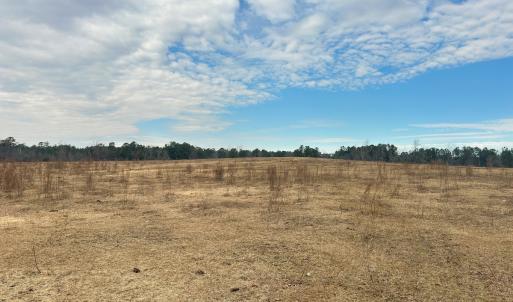 Photo #51 of 330 Ellis Stewart Ln, Cameron, NC 193.0 acres