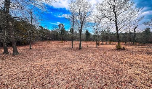 Photo #52 of 330 Ellis Stewart Ln, Cameron, NC 193.0 acres