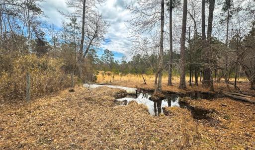 Photo #53 of 330 Ellis Stewart Ln, Cameron, NC 193.0 acres