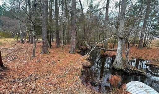 Photo #54 of 330 Ellis Stewart Ln, Cameron, NC 193.0 acres