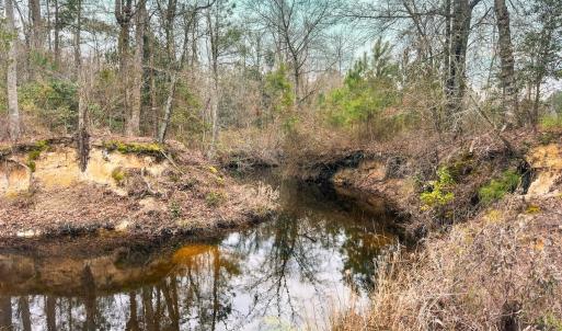 Photo #55 of 330 Ellis Stewart Ln, Cameron, NC 193.0 acres