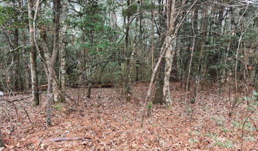Photo #56 of 330 Ellis Stewart Ln, Cameron, NC 193.0 acres