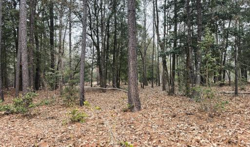 Photo #57 of 330 Ellis Stewart Ln, Cameron, NC 193.0 acres