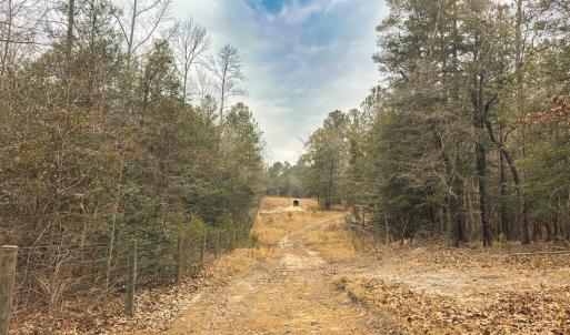 Photo #58 of 330 Ellis Stewart Ln, Cameron, NC 193.0 acres