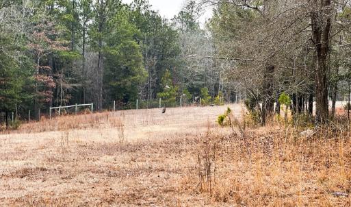 Photo #60 of 330 Ellis Stewart Ln, Cameron, NC 193.0 acres