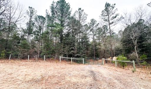 Photo #61 of 330 Ellis Stewart Ln, Cameron, NC 193.0 acres