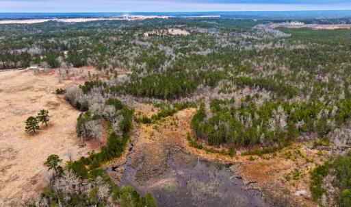 Photo #63 of 330 Ellis Stewart Ln, Cameron, NC 193.0 acres