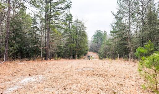 Photo #66 of 330 Ellis Stewart Ln, Cameron, NC 193.0 acres