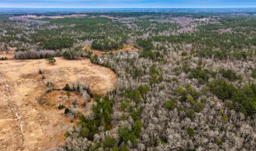 Photo #68 of 330 Ellis Stewart Ln, Cameron, NC 193.0 acres