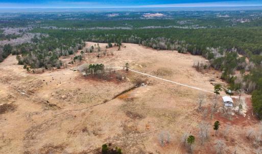 Photo #70 of 330 Ellis Stewart Ln, Cameron, NC 193.0 acres