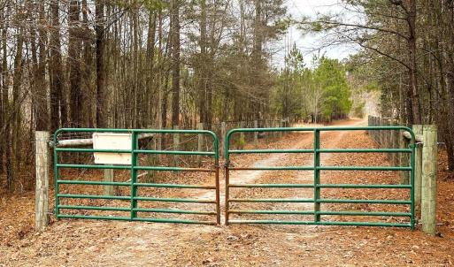 Photo #72 of 330 Ellis Stewart Ln, Cameron, NC 193.0 acres