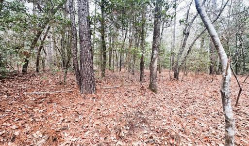 Photo #73 of 330 Ellis Stewart Ln, Cameron, NC 193.0 acres