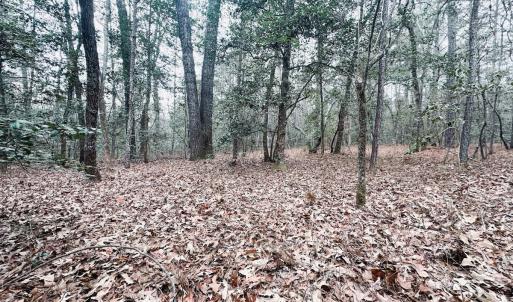 Photo #74 of 330 Ellis Stewart Ln, Cameron, NC 193.0 acres