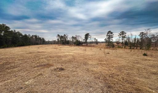 Photo #75 of 330 Ellis Stewart Ln, Cameron, NC 193.0 acres