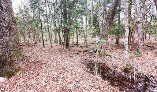 Photo #76 of 330 Ellis Stewart Ln, Cameron, NC 193.0 acres