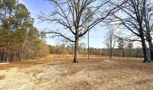 Photo #77 of 330 Ellis Stewart Ln, Cameron, NC 193.0 acres