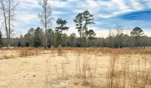 Photo #79 of 330 Ellis Stewart Ln, Cameron, NC 193.0 acres