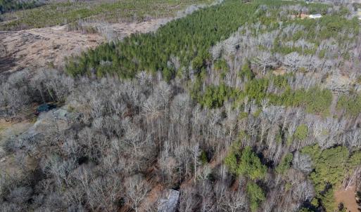 Photo #10 of Lot-2, Off Campbell Road, Bear Creek, NC 13.3 acres