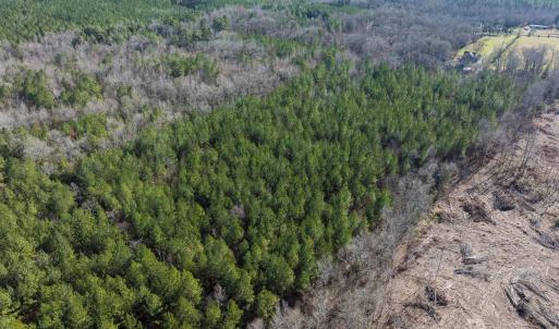 Photo #12 of Lot-2, Off Campbell Road, Bear Creek, NC 13.3 acres