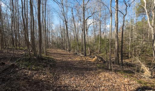 Photo #14 of Lot-2, Off Campbell Road, Bear Creek, NC 13.3 acres