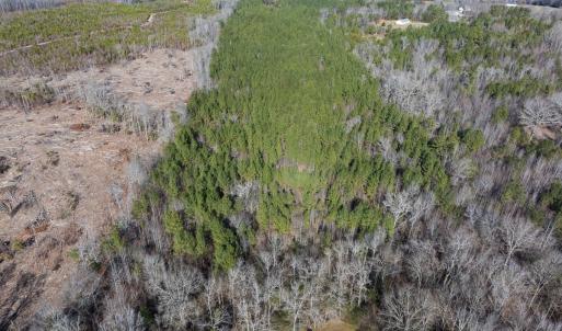 Photo #15 of Lot-2, Off Campbell Road, Bear Creek, NC 13.3 acres