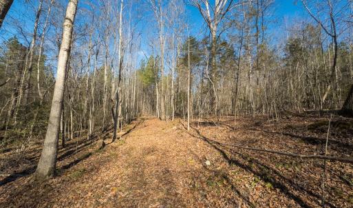 Photo #18 of Lot-2, Off Campbell Road, Bear Creek, NC 13.3 acres