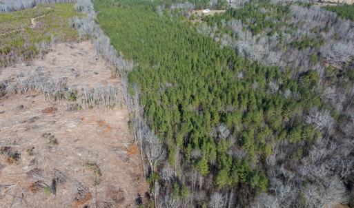 Photo #19 of Lot-2, Off Campbell Road, Bear Creek, NC 13.3 acres