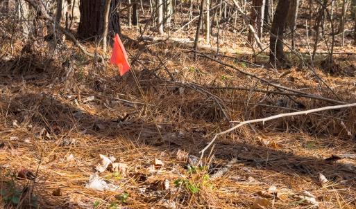 Photo #20 of Lot-2, Off Campbell Road, Bear Creek, NC 13.3 acres