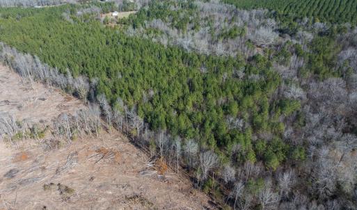 Photo #22 of Lot-2, Off Campbell Road, Bear Creek, NC 13.3 acres