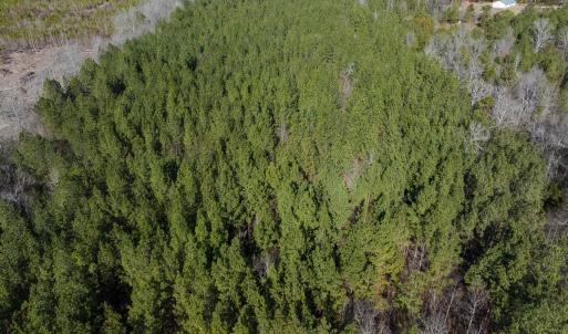 Photo #24 of Lot-2, Off Campbell Road, Bear Creek, NC 13.3 acres