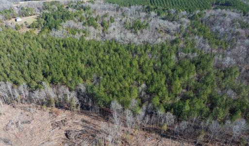 Photo #25 of Lot-2, Off Campbell Road, Bear Creek, NC 13.3 acres