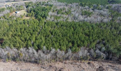 Photo #29 of Lot-2, Off Campbell Road, Bear Creek, NC 13.3 acres