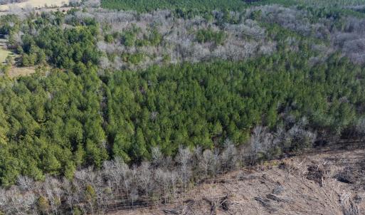 Photo #31 of Lot-2, Off Campbell Road, Bear Creek, NC 13.3 acres