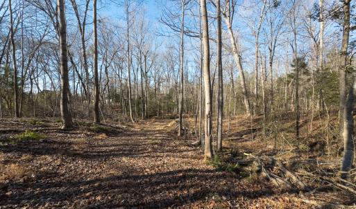 Photo #32 of Lot-2, Off Campbell Road, Bear Creek, NC 13.3 acres