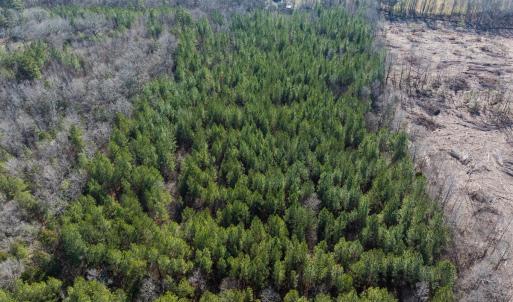 Photo #33 of Lot-2, Off Campbell Road, Bear Creek, NC 13.3 acres
