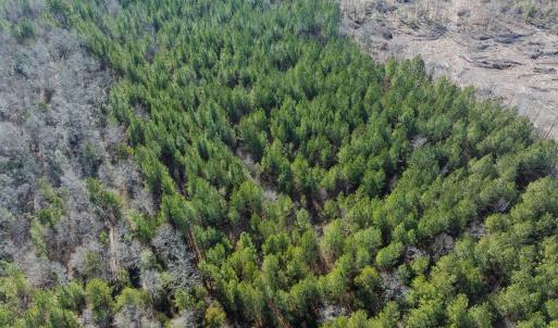 Photo #34 of Lot-2, Off Campbell Road, Bear Creek, NC 13.3 acres