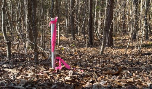 Photo #35 of Lot-2, Off Campbell Road, Bear Creek, NC 13.3 acres