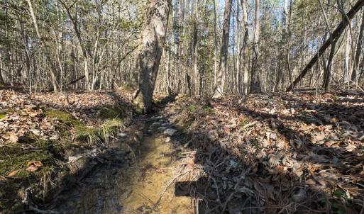 Photo #36 of Lot-2, Off Campbell Road, Bear Creek, NC 13.3 acres