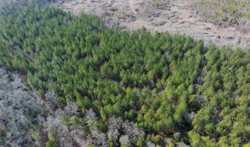 Photo #37 of Lot-2, Off Campbell Road, Bear Creek, NC 13.3 acres