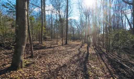 Photo #38 of Lot-2, Off Campbell Road, Bear Creek, NC 13.3 acres