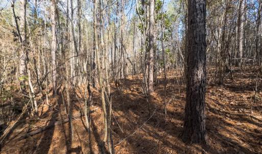 Photo #39 of Lot-2, Off Campbell Road, Bear Creek, NC 13.3 acres