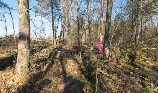 Photo #42 of Lot-2, Off Campbell Road, Bear Creek, NC 13.3 acres