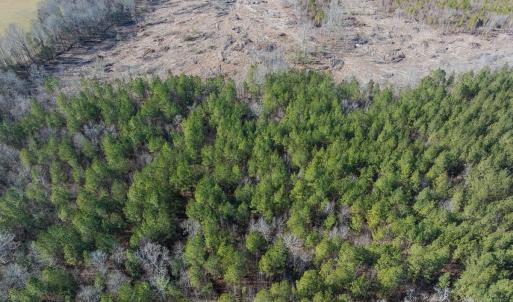 Photo #43 of Lot-2, Off Campbell Road, Bear Creek, NC 13.3 acres