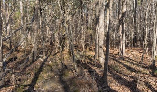 Photo #44 of Lot-2, Off Campbell Road, Bear Creek, NC 13.3 acres