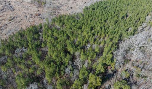 Photo #46 of Lot-2, Off Campbell Road, Bear Creek, NC 13.3 acres
