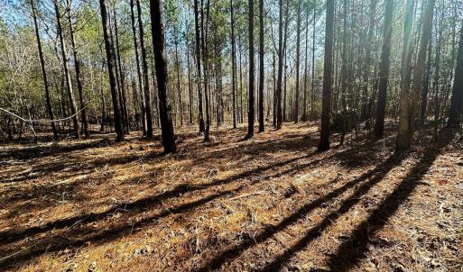 Photo #47 of Lot-2, Off Campbell Road, Bear Creek, NC 13.3 acres