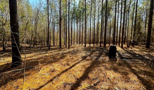 Photo #49 of Lot-2, Off Campbell Road, Bear Creek, NC 13.3 acres